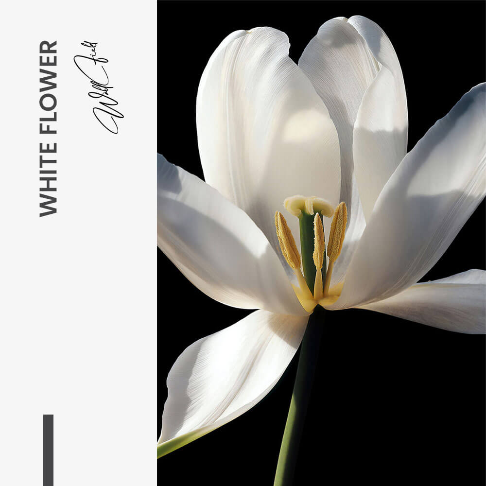 White Flower – Vidrio