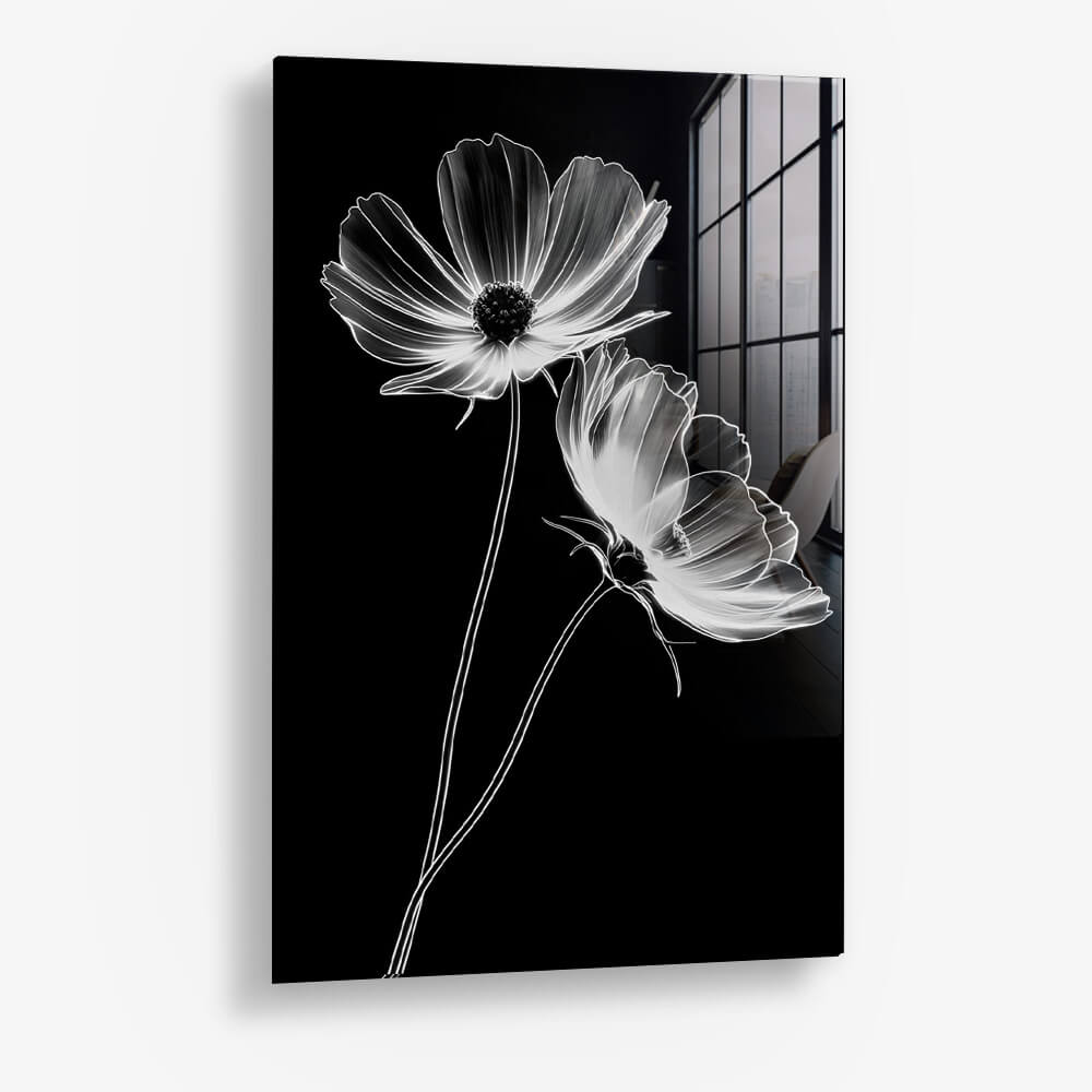 X-Ray Flowers – Vidrio