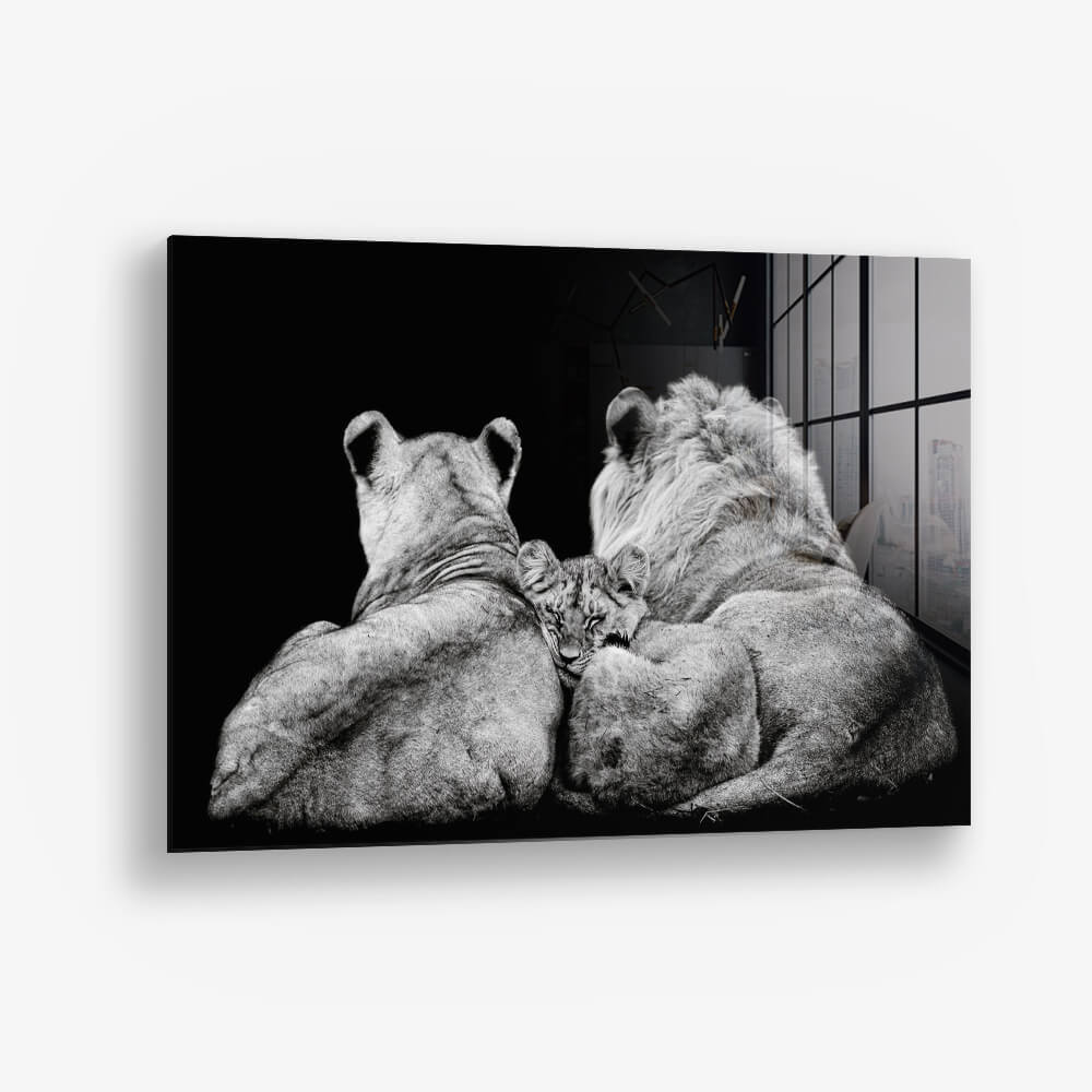 The Lion Family III – Vidrio