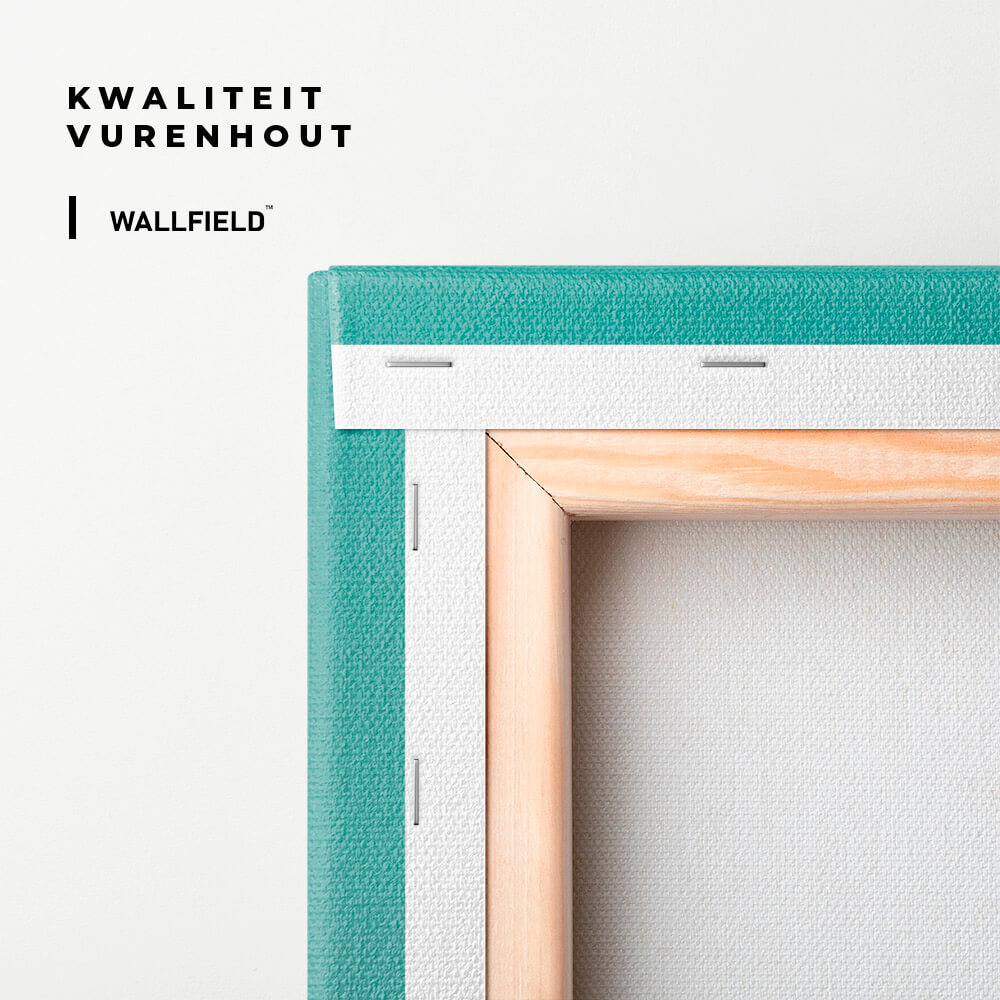 "Cappadocia Balloons"