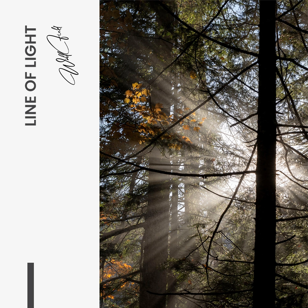 "Line of Light"