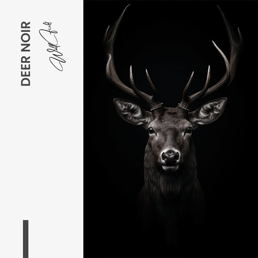 Deer Noir – Vidrio