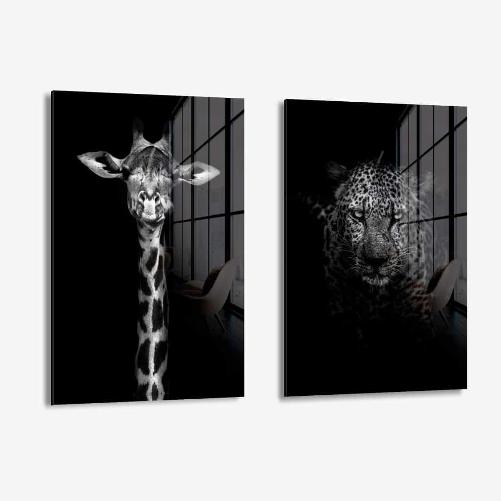 Bundle: "Black Animals" (2x) – Vidrio