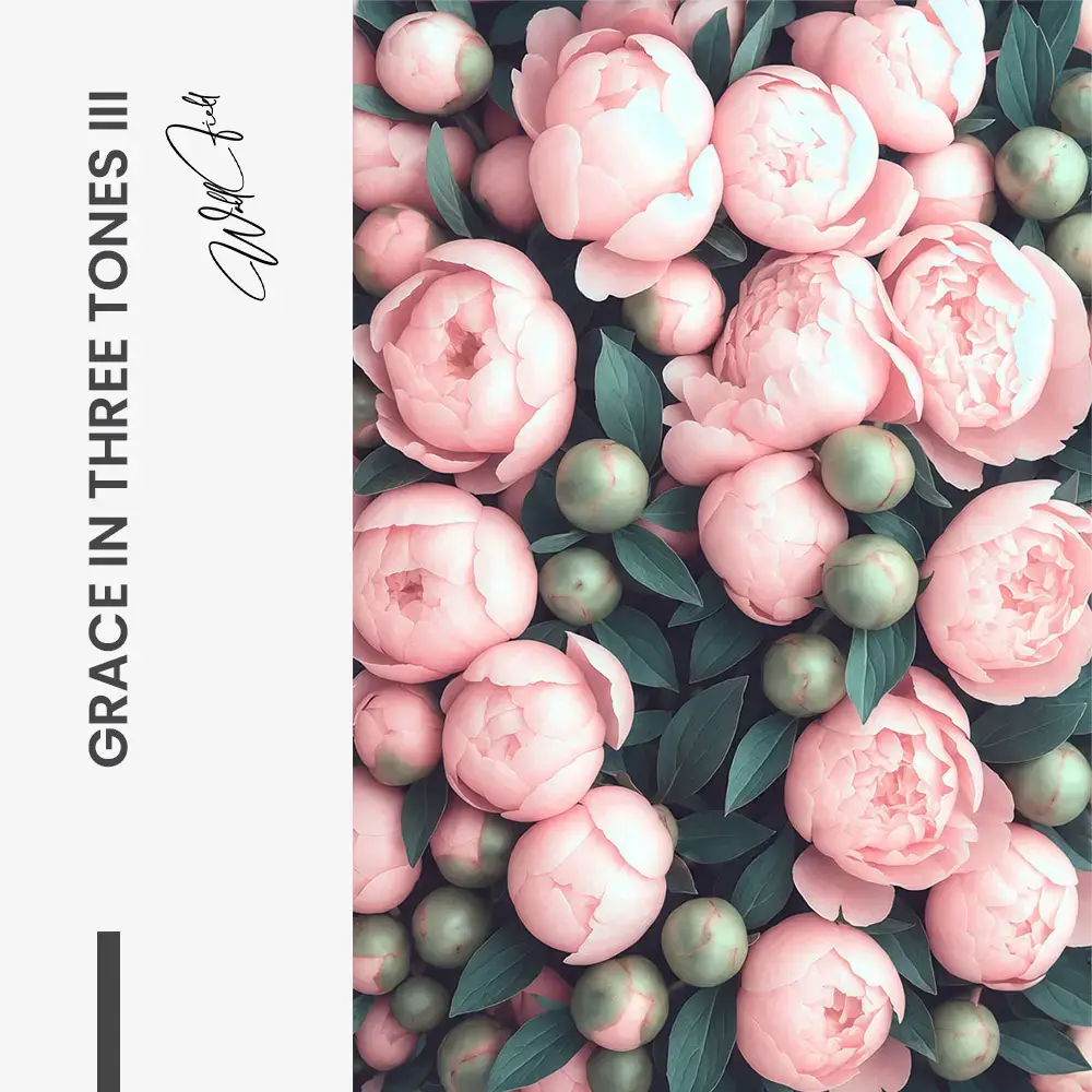 Bundle: "Grace in Three Tones" (3x) – Vidrio