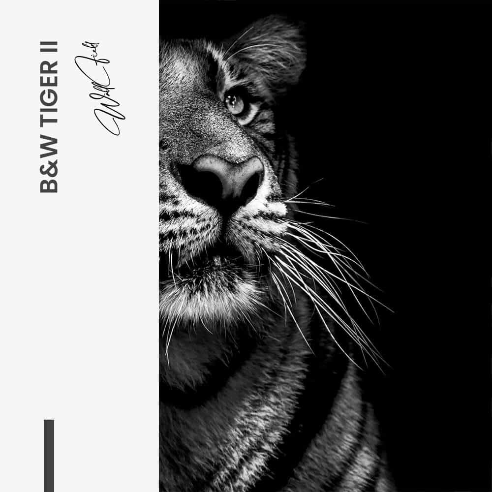 Bundle: "B&W Tiger" (2x) – Glass