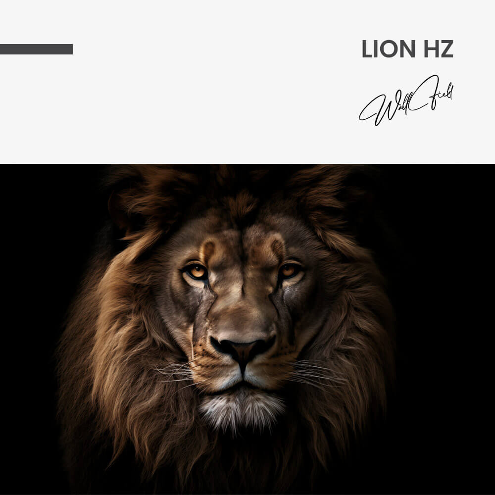 Lion HZ – Vidrio