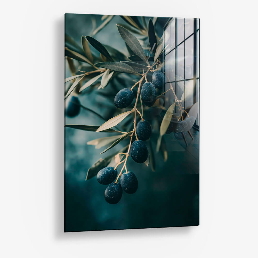 Olive Tree Closeup – Vidrio