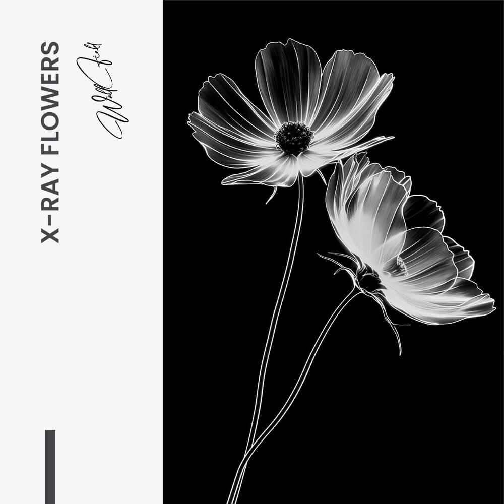 X-Ray Flowers – Vidrio