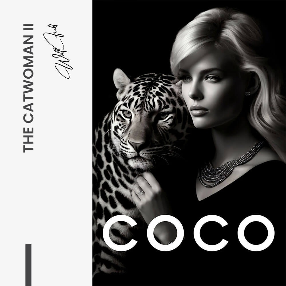 The Catwoman II – Vidrio