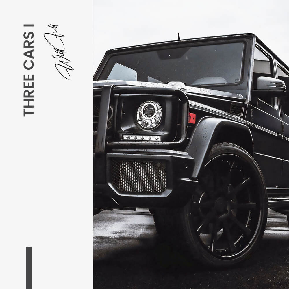 Bundel: "Fast life" (2x)