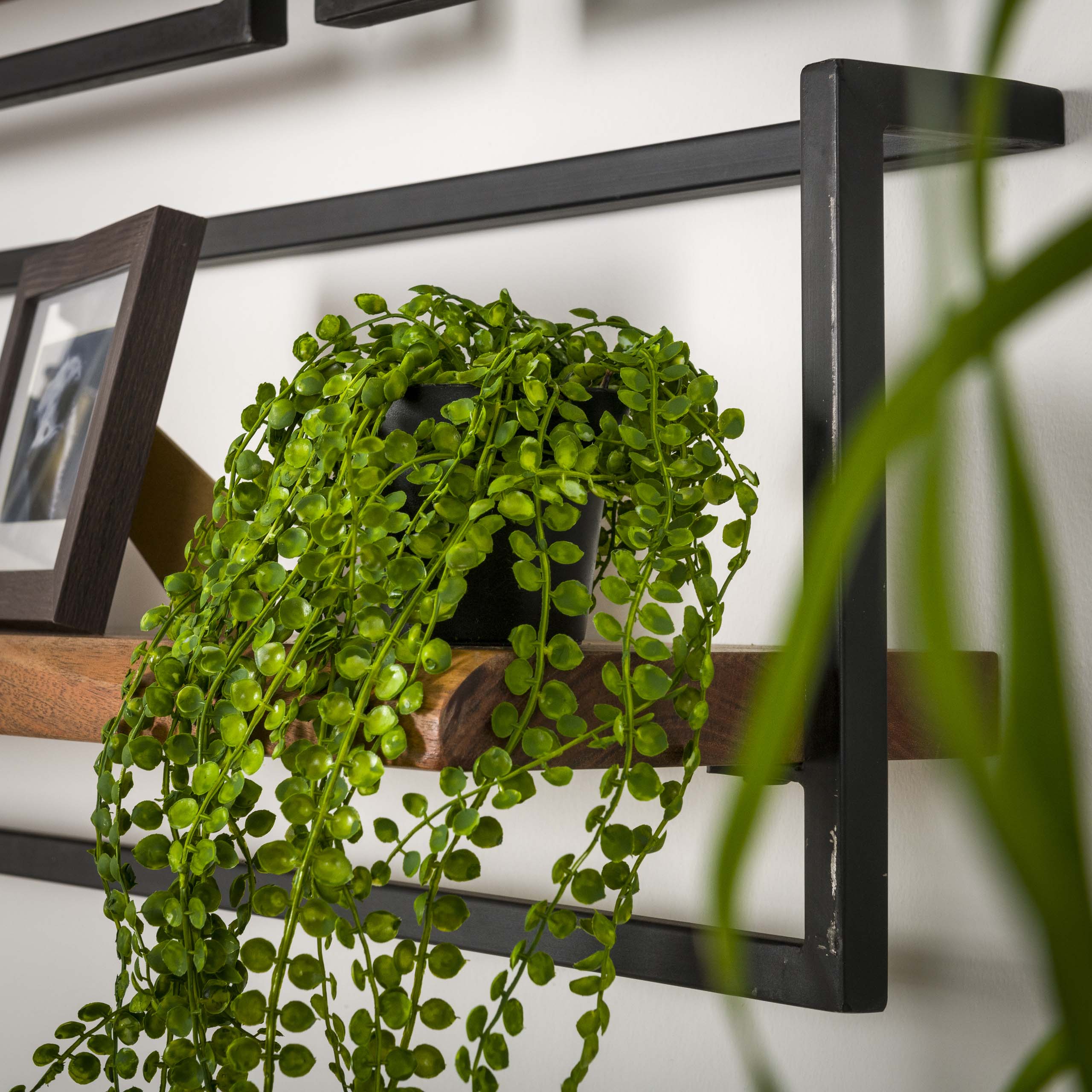 Estante de pared Edge Frame 30 cm - Acacia maciza
