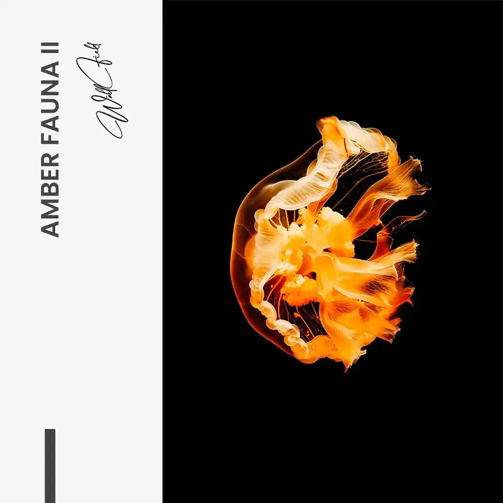 Amber Fauna II – Vidrio