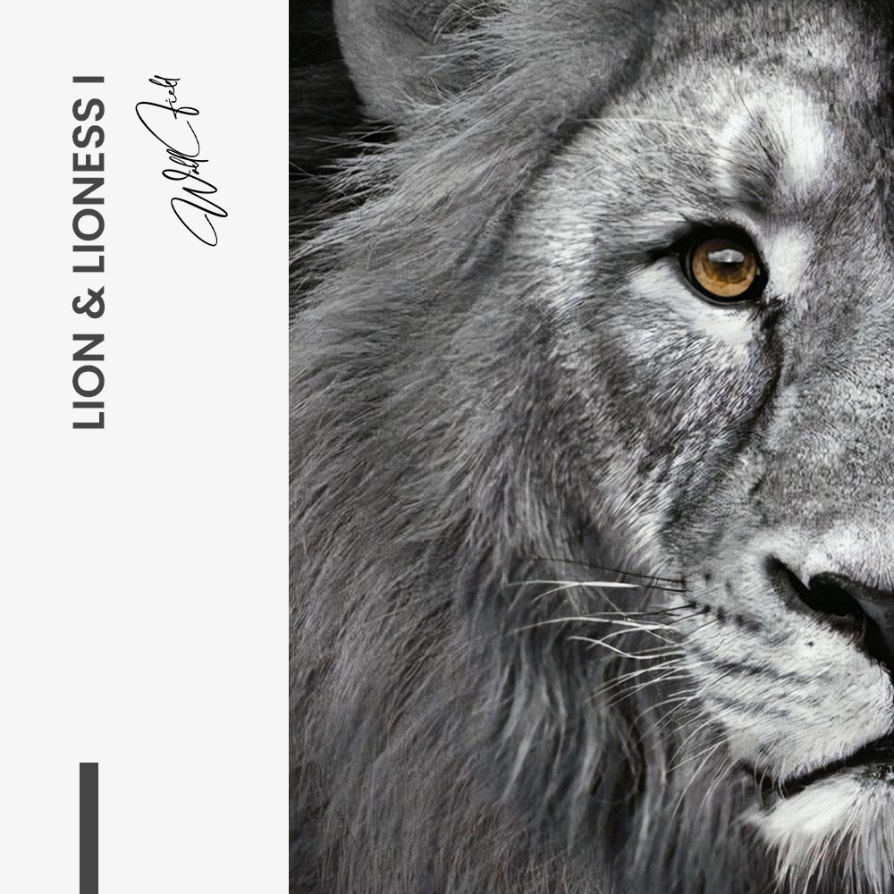 Bundle: "Lion & Lioness" (2x) – Vidrio