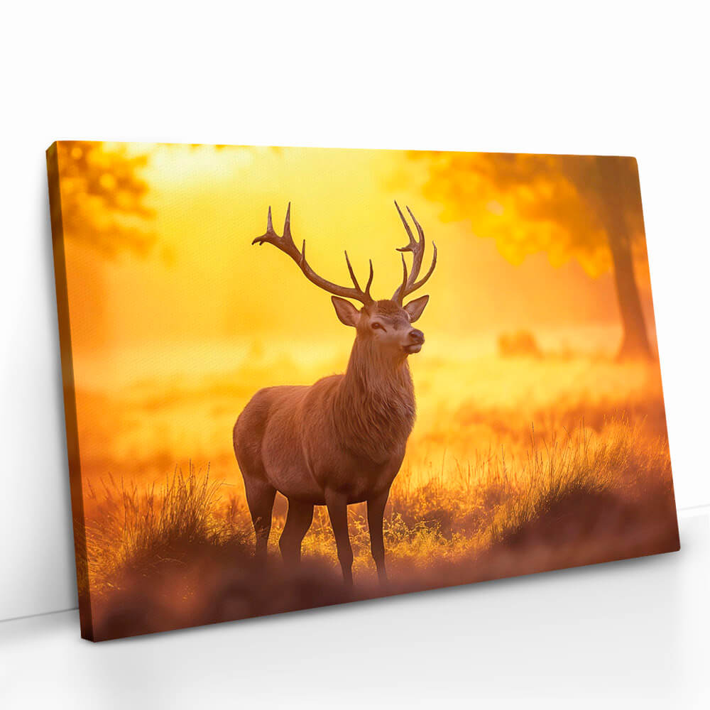 "Deer"