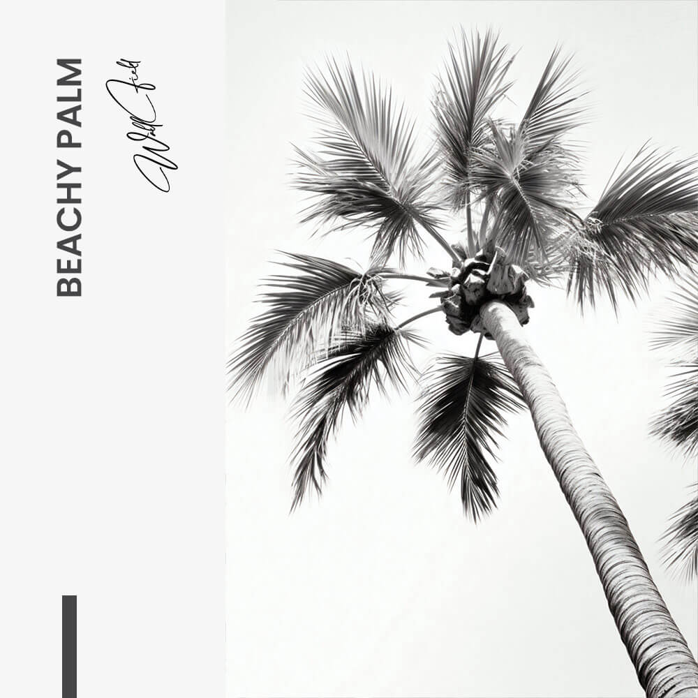 Beachy Palm - Vidrio