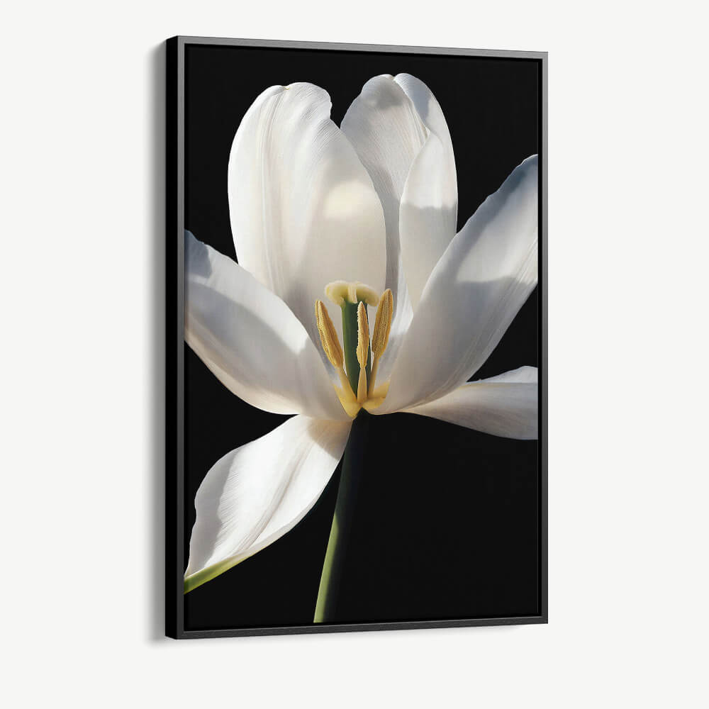 "White Flower"