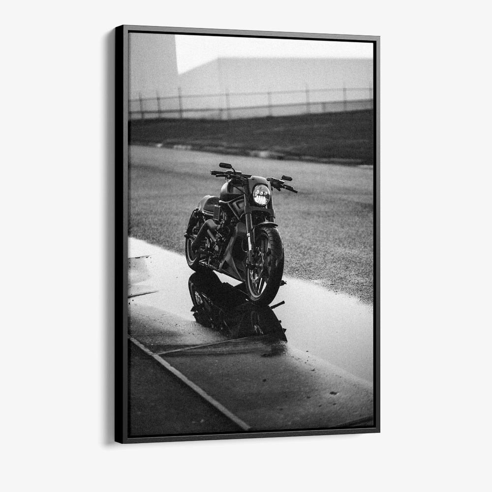 "Lone Rider"