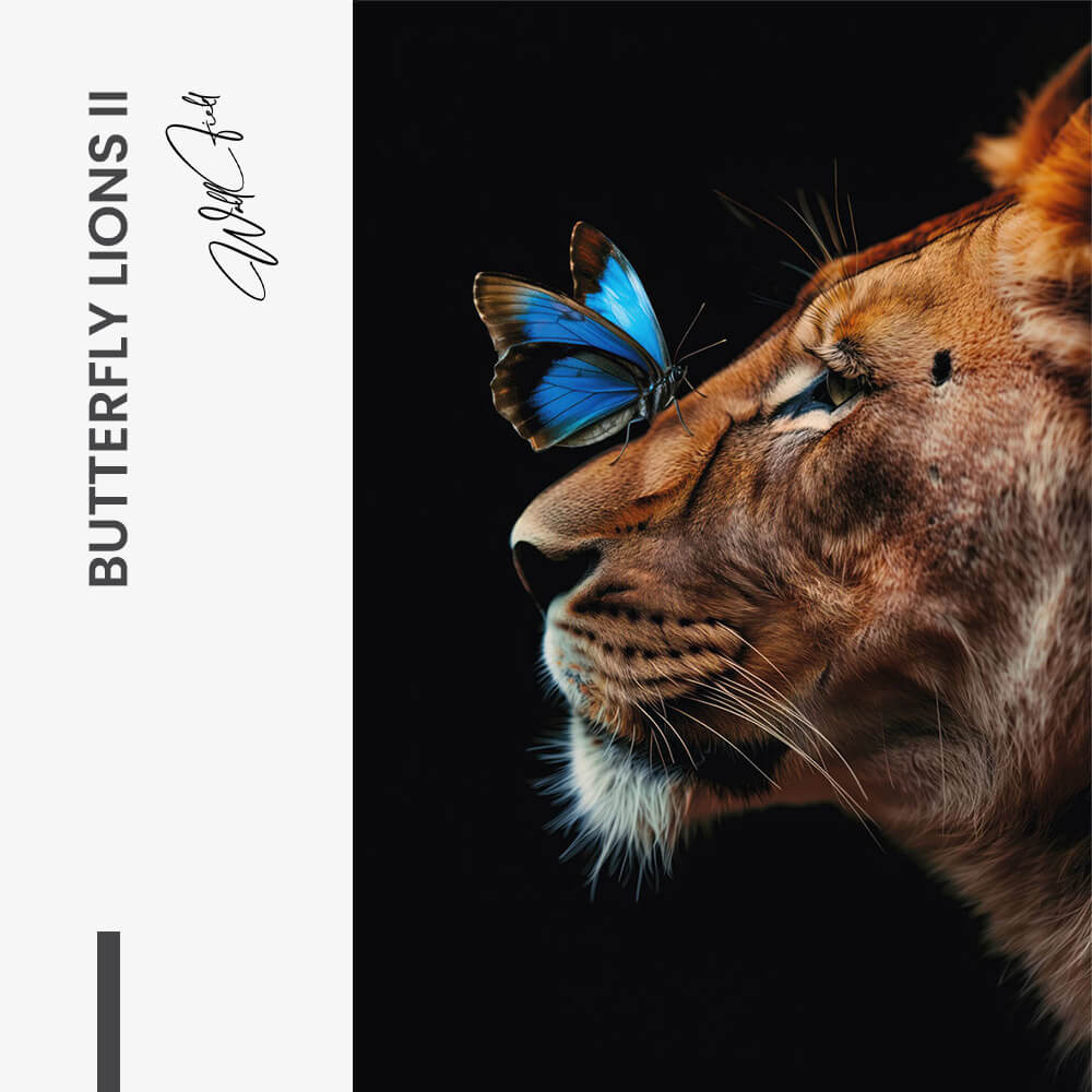 Butterfly Lioness – Vidrio