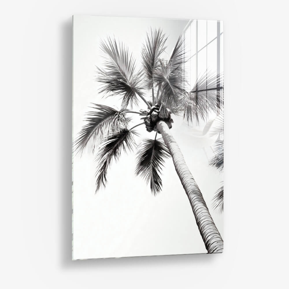 Beachy Palm - Glass