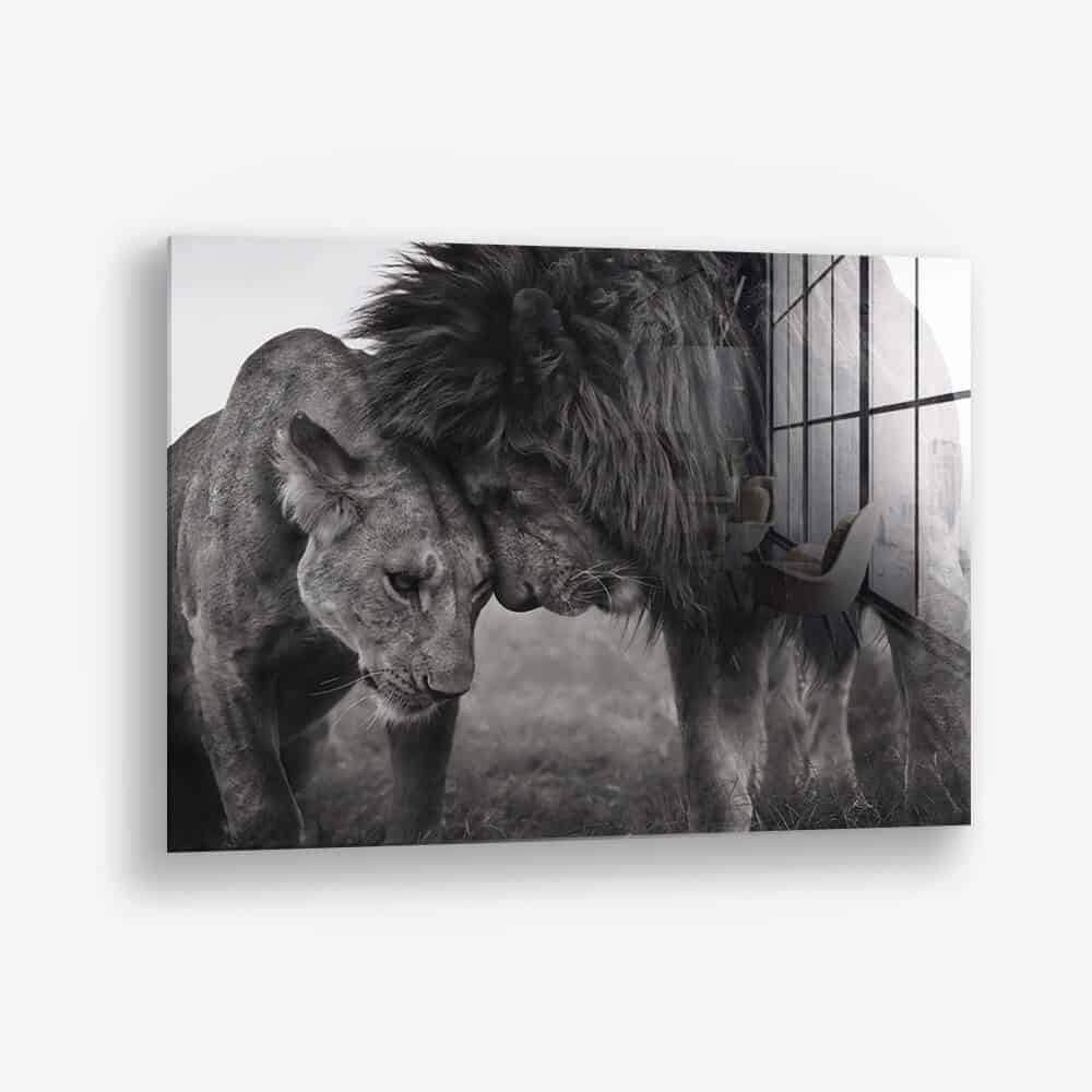 Loving Lion - Vidrio