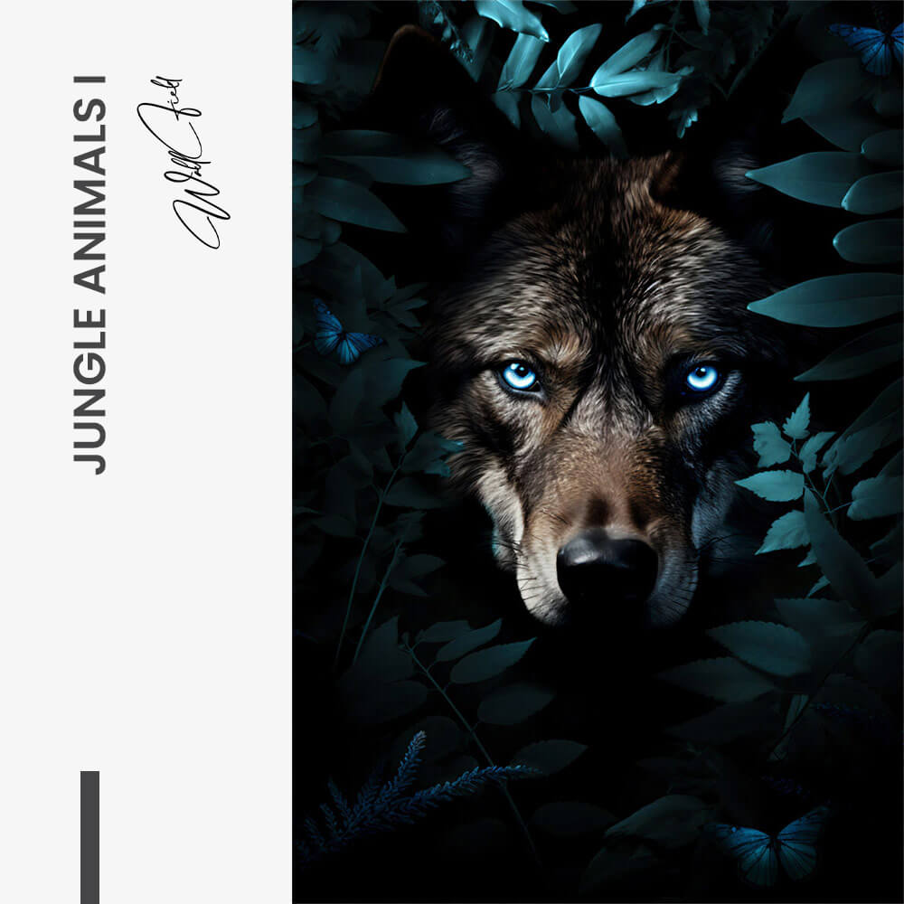 Bundel: "Big Cats" (3x) – Vidrio