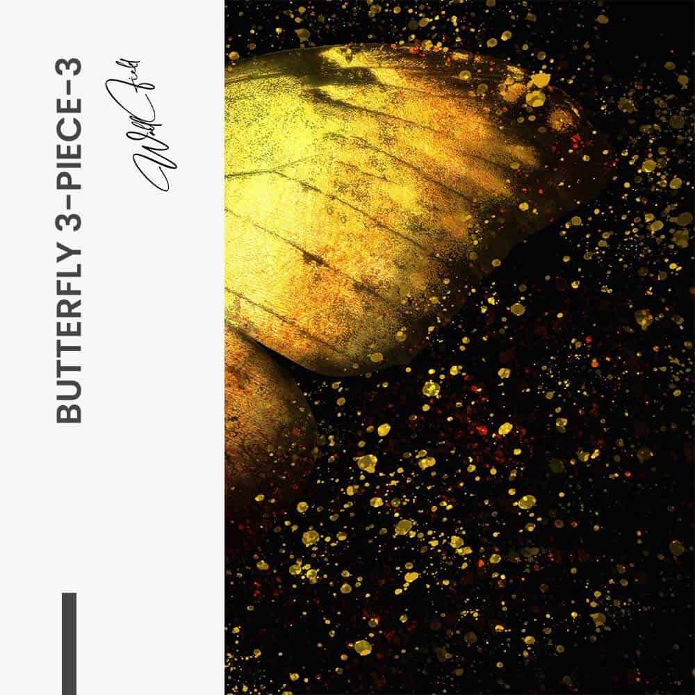 Bundle: "Butterfly 3-Piece" (3x) – Vidrio