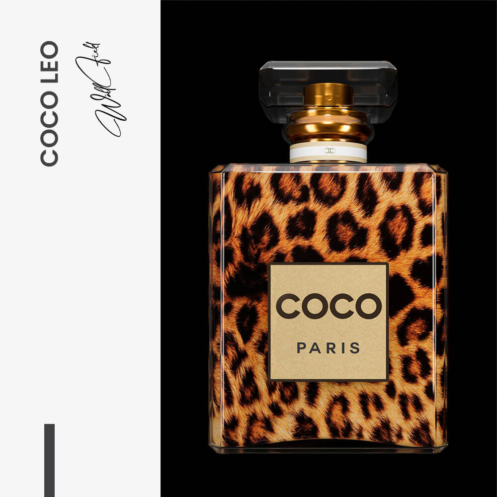 COCO Leo – Vidrio