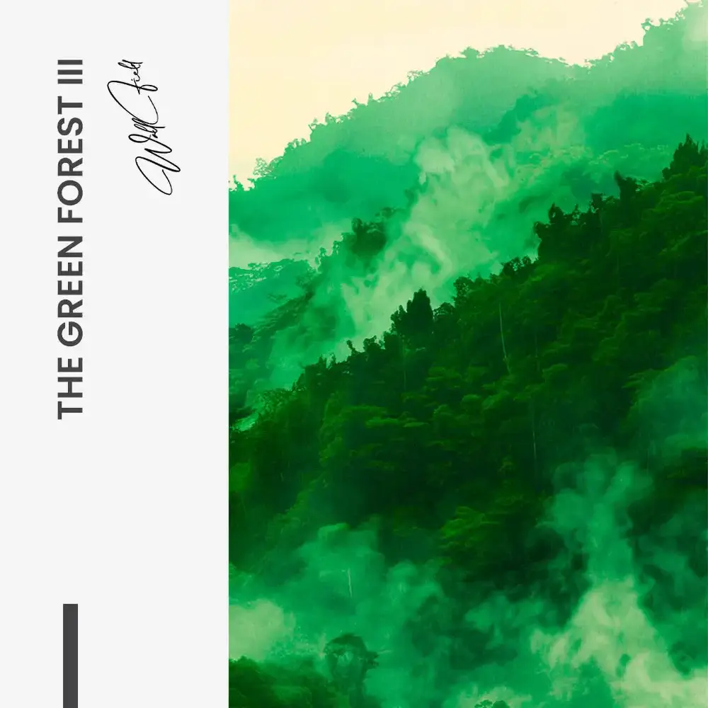 Bundle The Green Forest (3x) – Vidrio