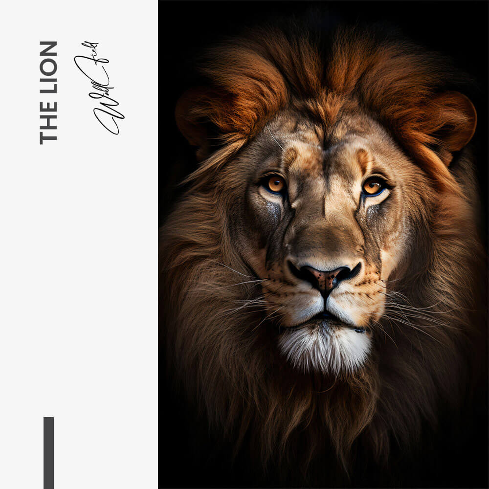 The Lion – Vidrio