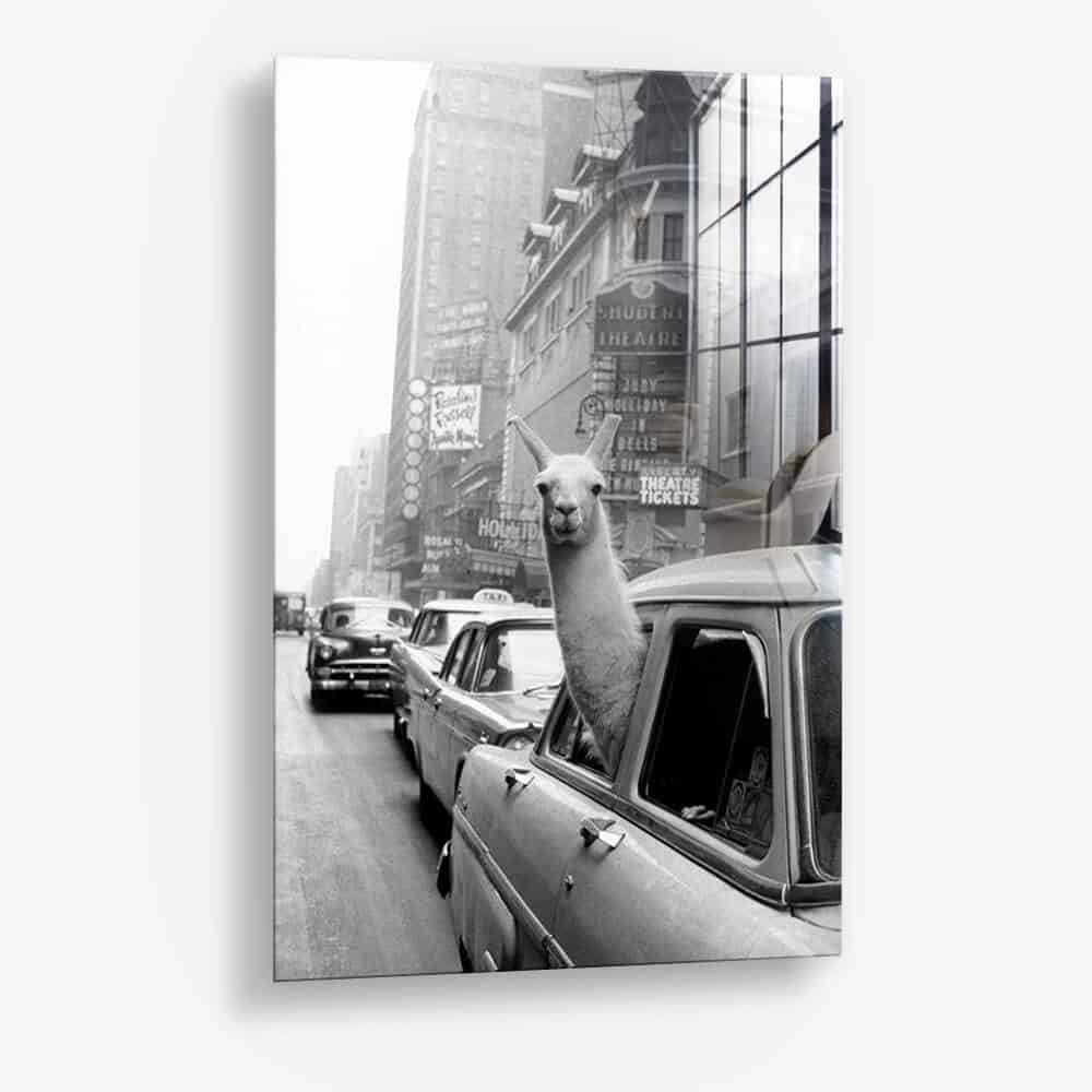 New York Lama - Vidrio