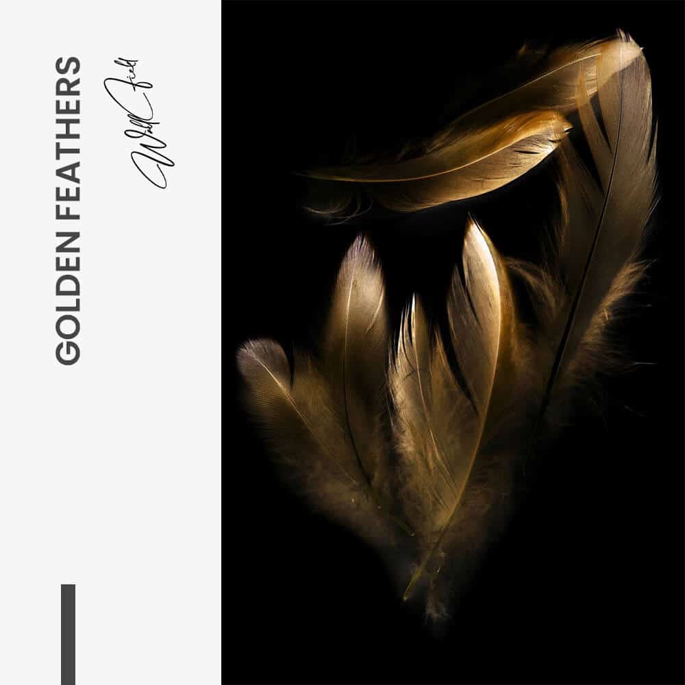 Golden Feathers - Vidrio