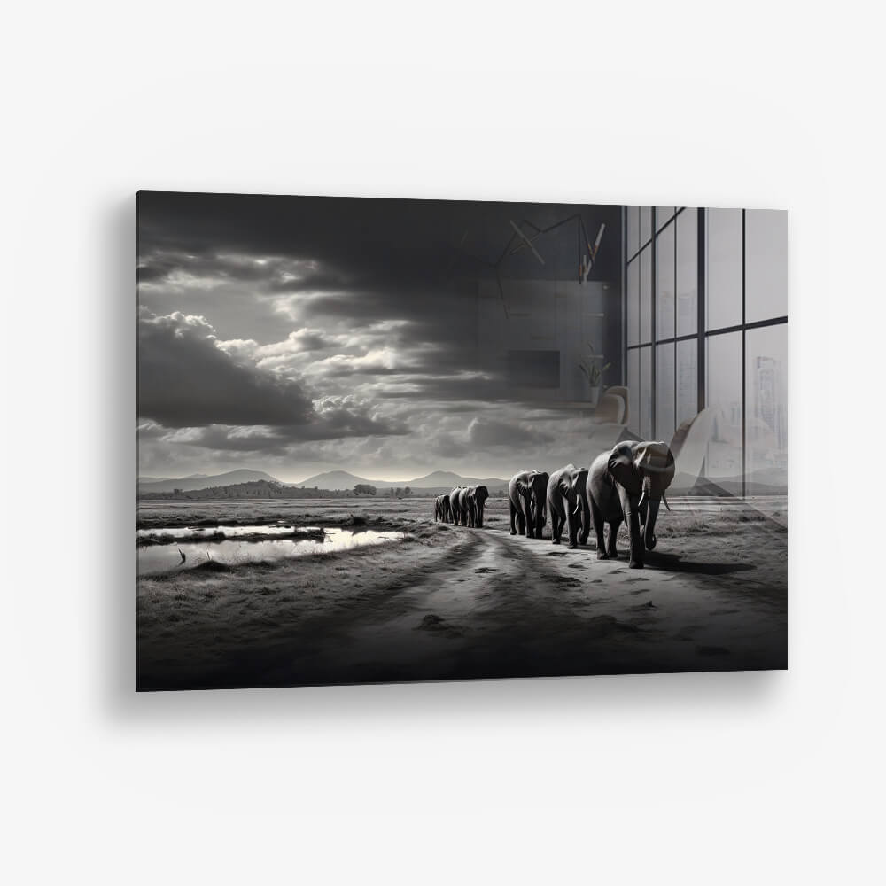 Elephant Family - Vidrio