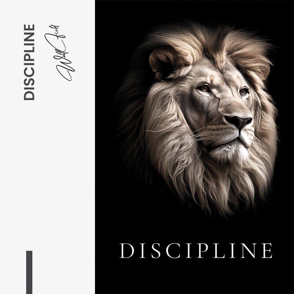 Discipline – Vidrio