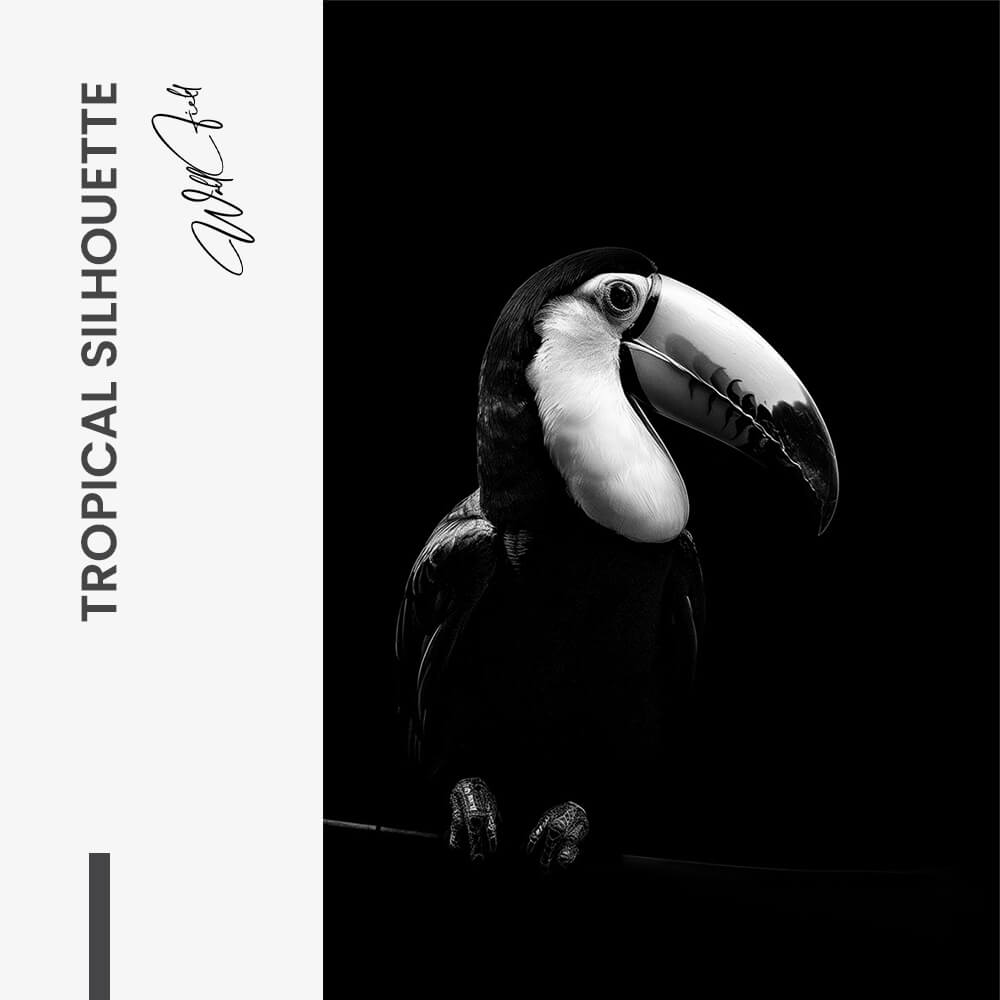 Tropical Silhouette – Vidrio