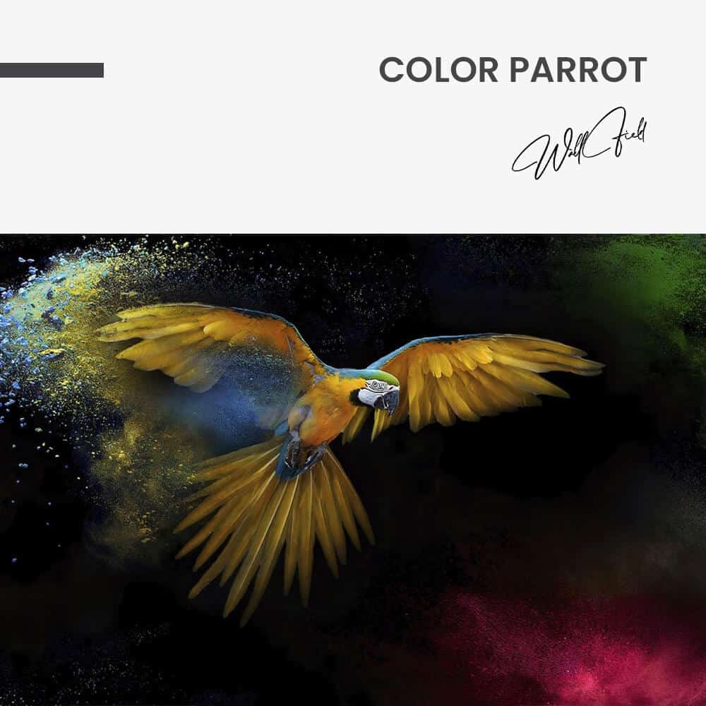 "Color Parrot"