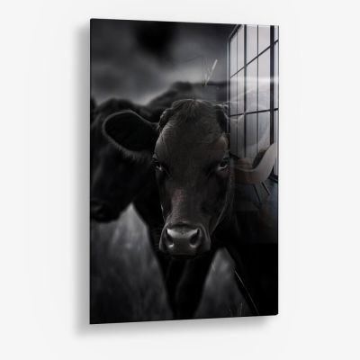 The Cow – Vidrio