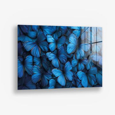 Butterfly Sea – Vidrio
