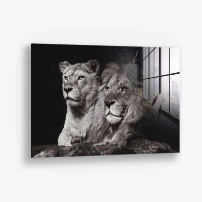 Lion Couple – Vidrio