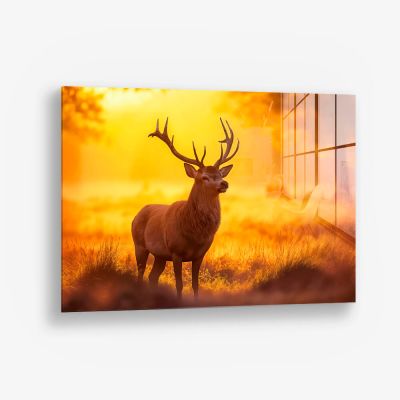 Deer – Vidrio