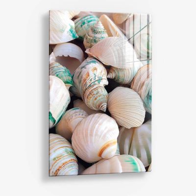 Sea Shell – Vidrio