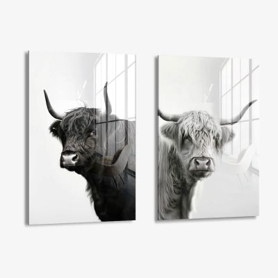 Bundle: "B&W Muscox" (2x) – Vidrio