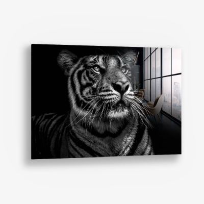 B&W Tiger – Vidrio