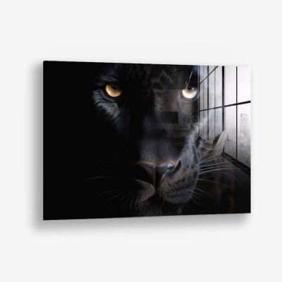The Black Panther – Vidrio