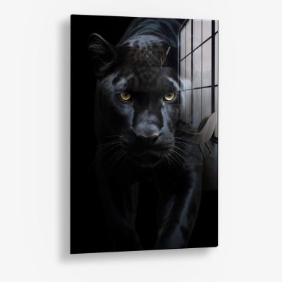 Black Jaguar – Vidrio