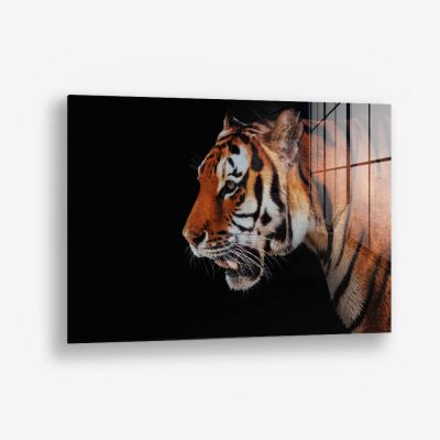 Horizontal Tiger – Vidrio