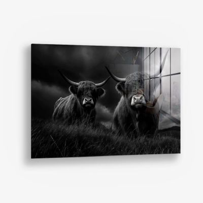 Highlander Duo – Vidrio