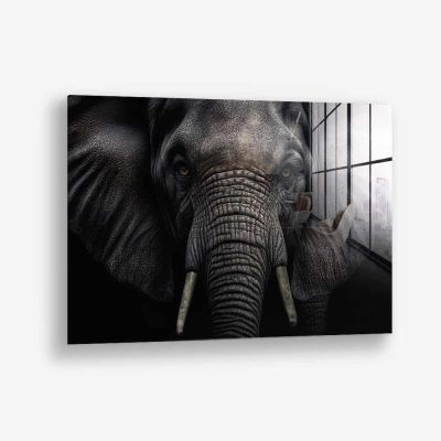 Elephant Close-Up – Vidrio