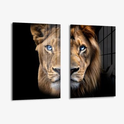 Bundle: "Blue Eyed Lions" (2x) – Vidrio