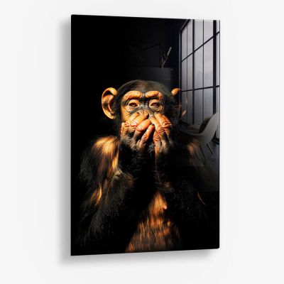 Dark Monkey Speak no Evil – Vidrio