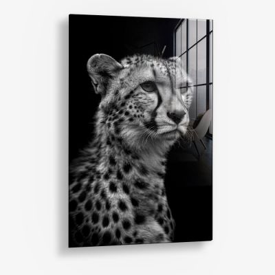 Cheetah's View – Vidrio